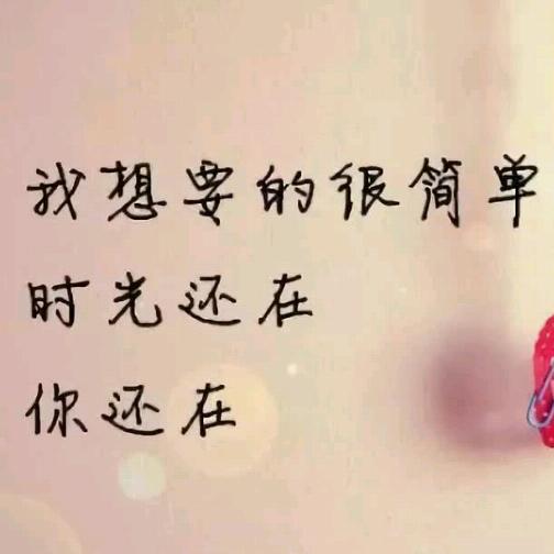 雾里望归期