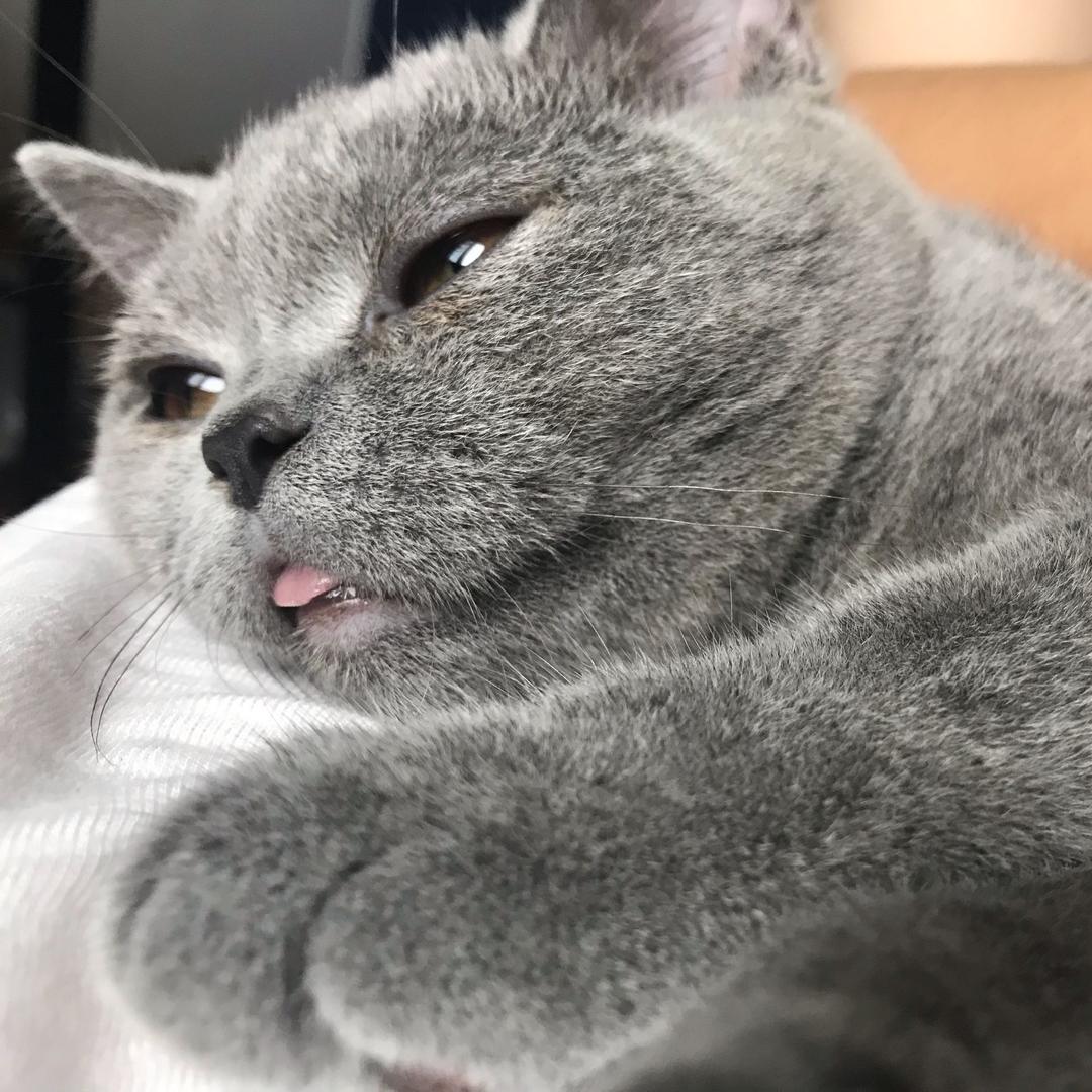 🧐猫叔说小车