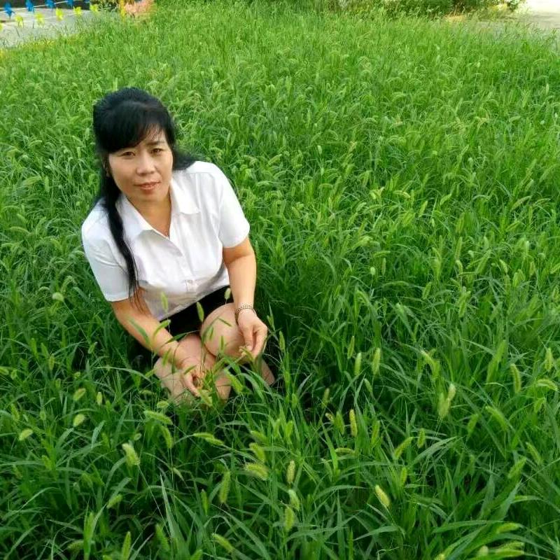 王妮