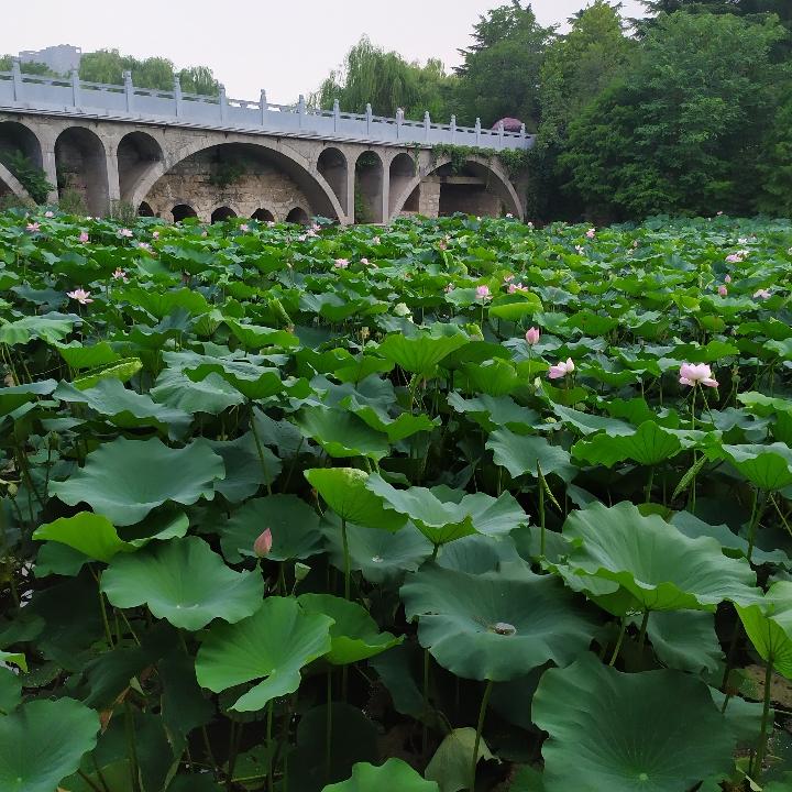 我是开心每一天