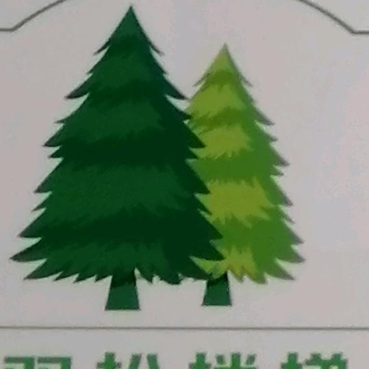 双松楼梯