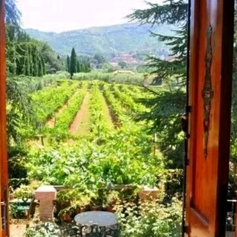 温暖的阳光（拒聊）