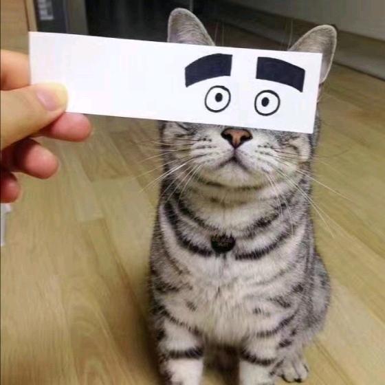 康忙北鼻叫爸比