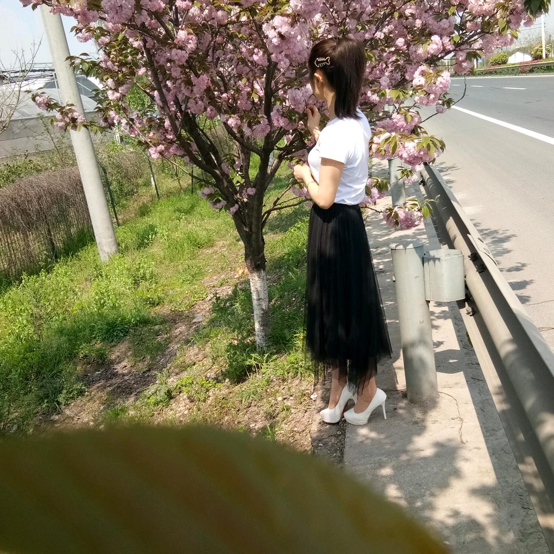 琴儿
