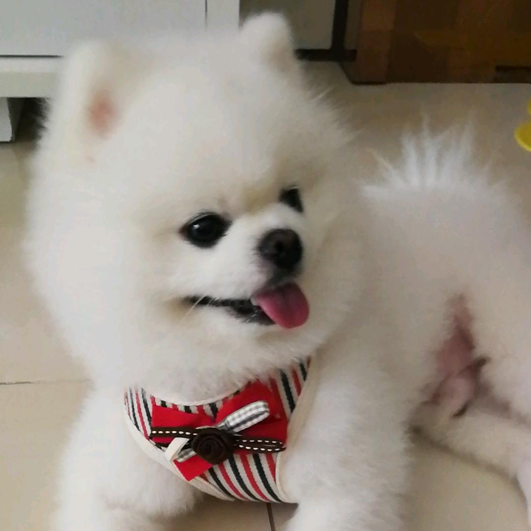 一往情深