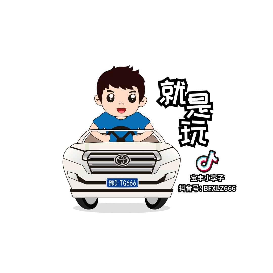 宝丰小李子