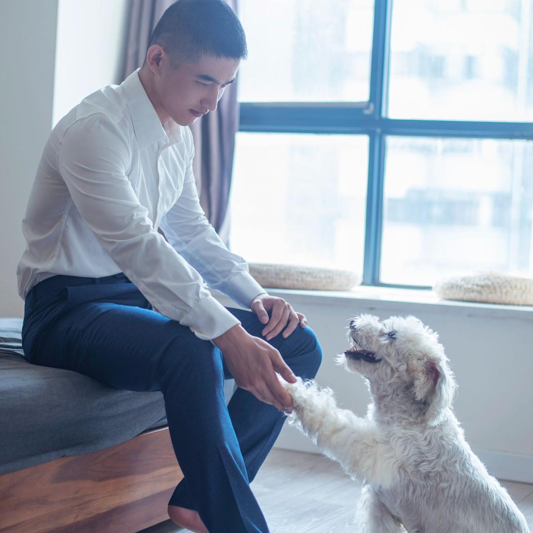 杨小七wayne🌈lawyer