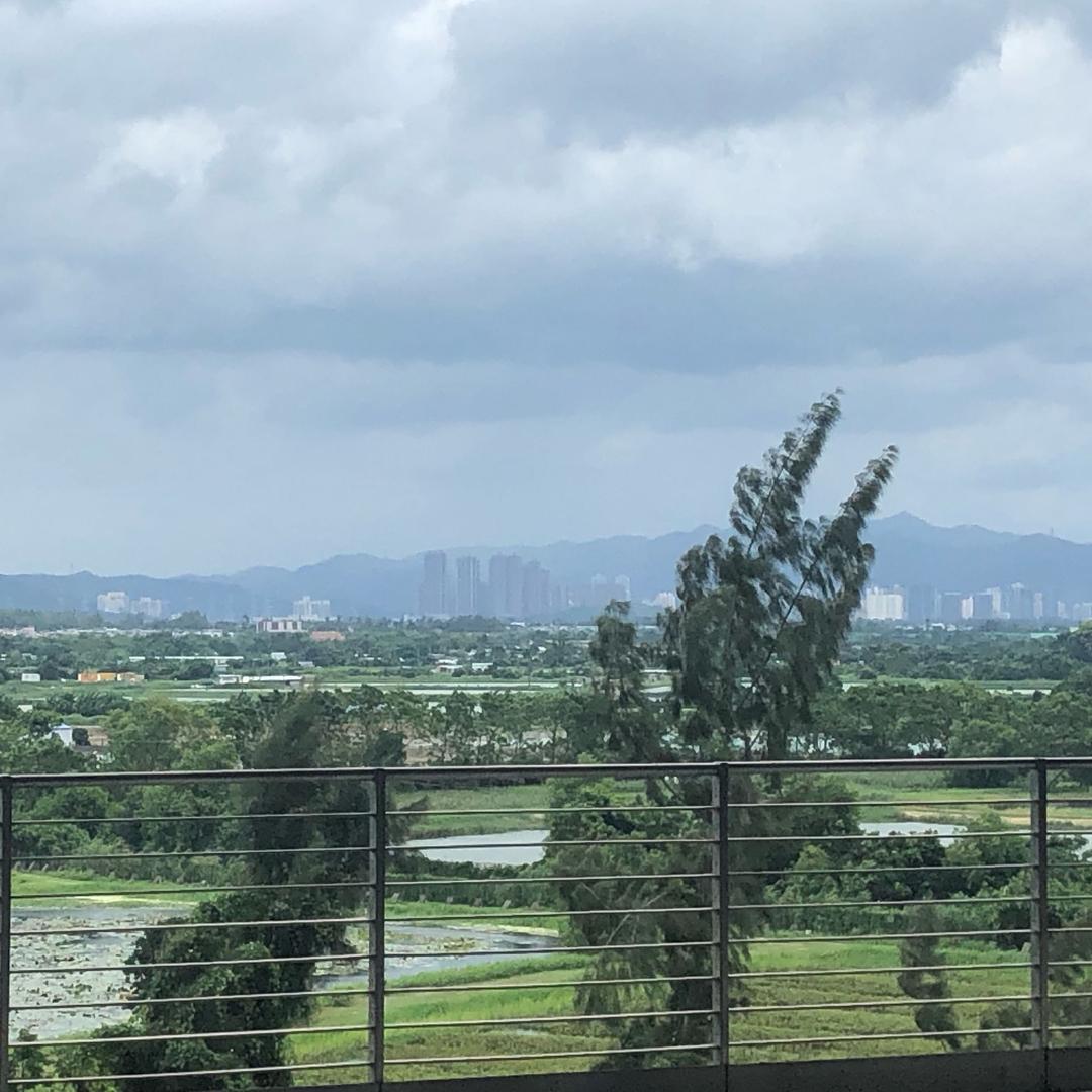 伍