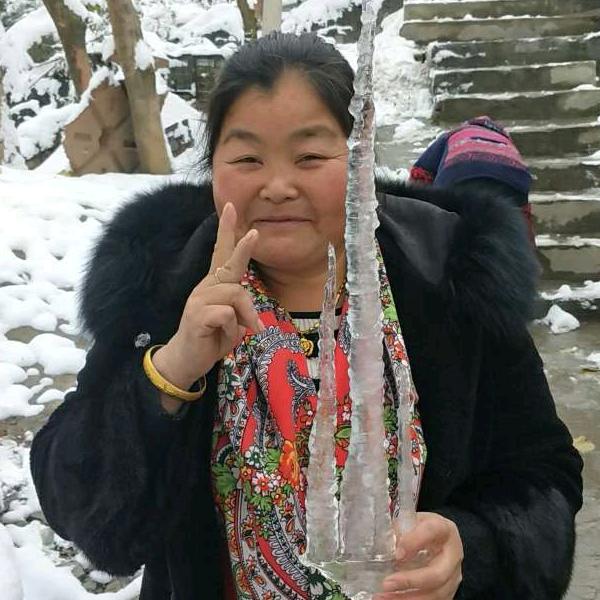 杨金凤