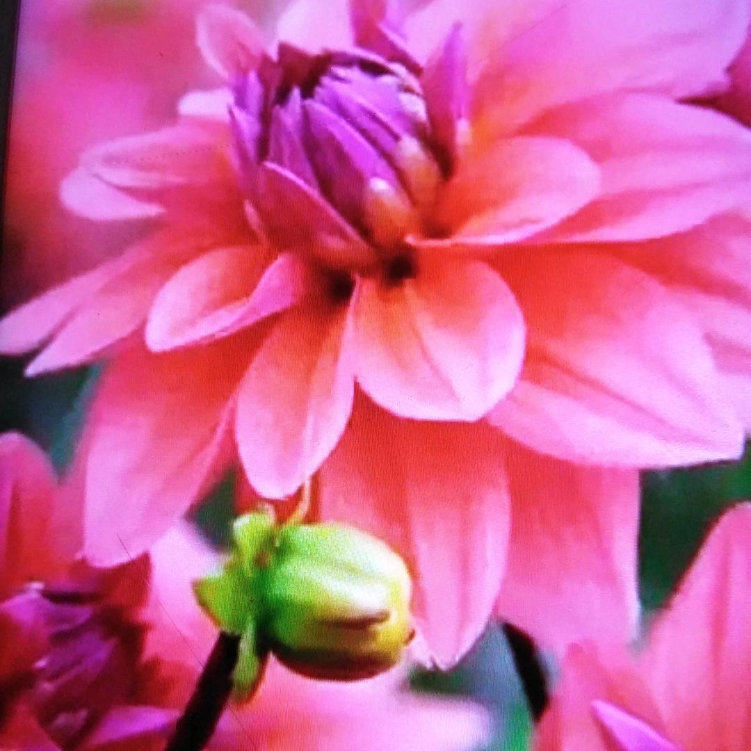 生活中🧚🏼‍♀️有多少个不容易💃