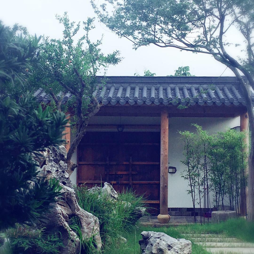 风筝悟