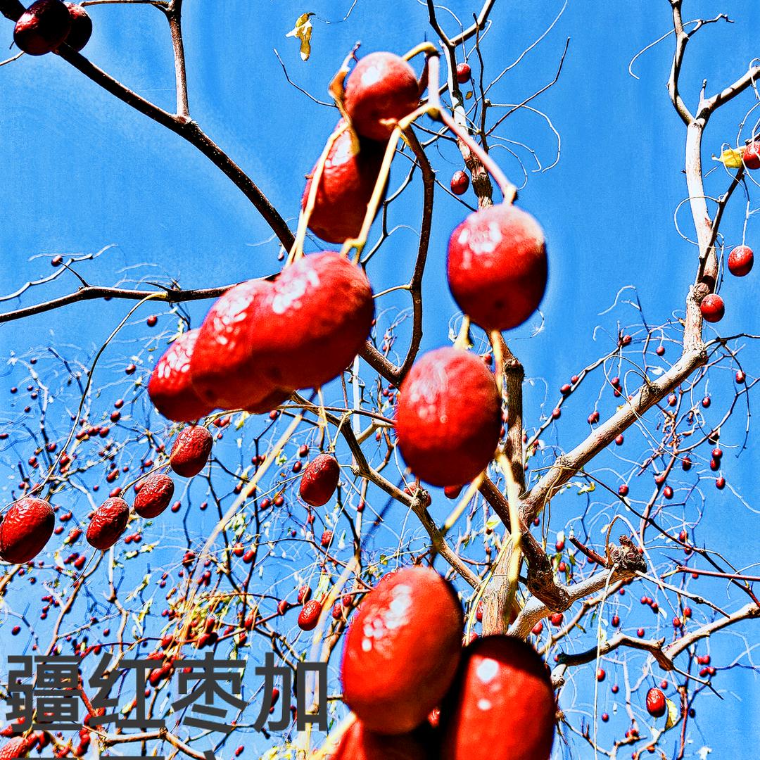 @郑州雨鑫红枣