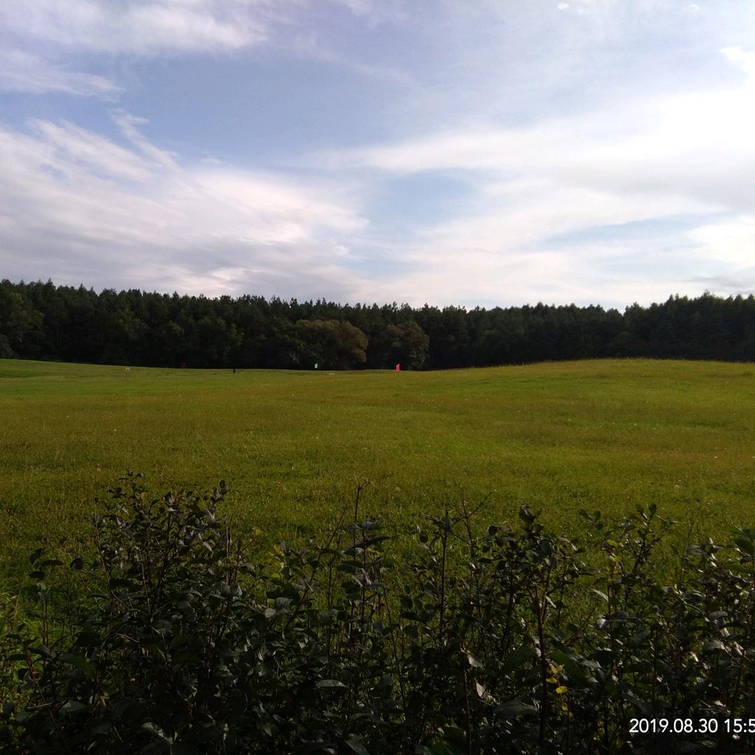 禅让我佛慈怀众生皆苦徐礼让