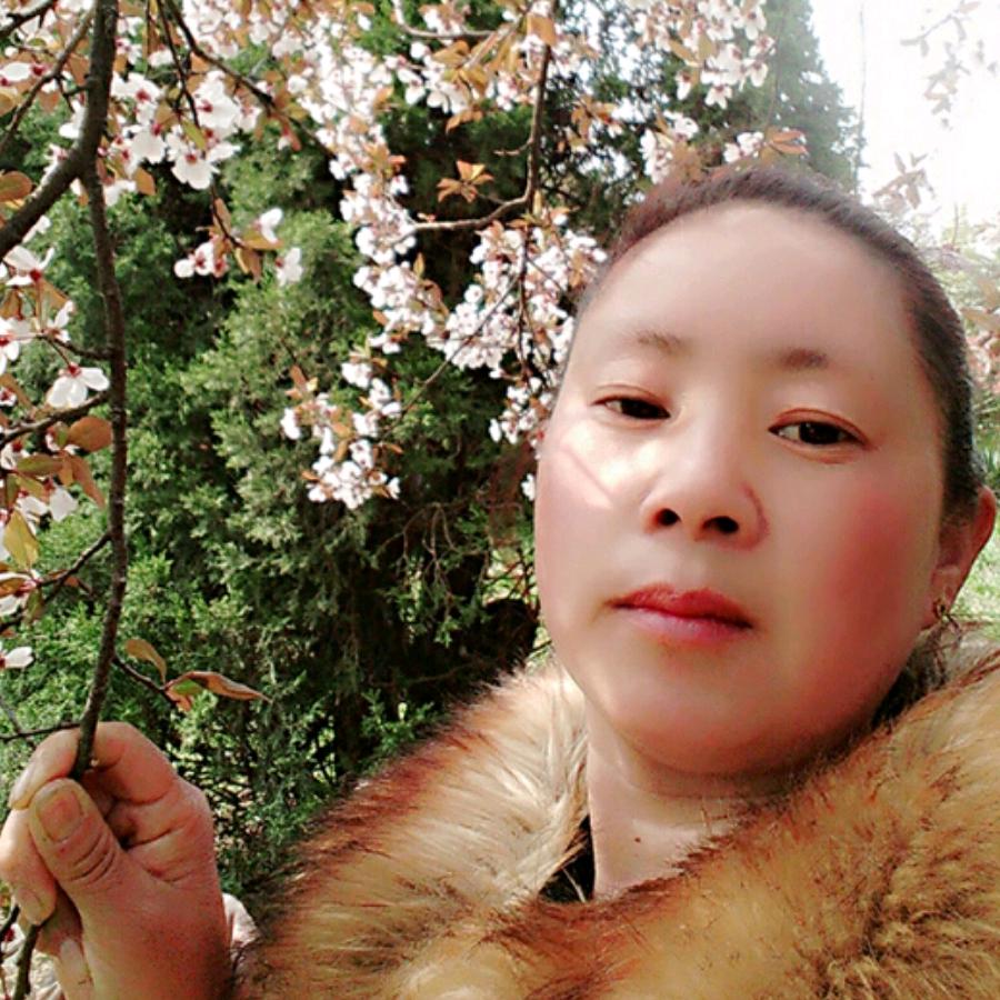随心所欲