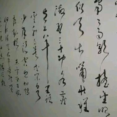 夏雨