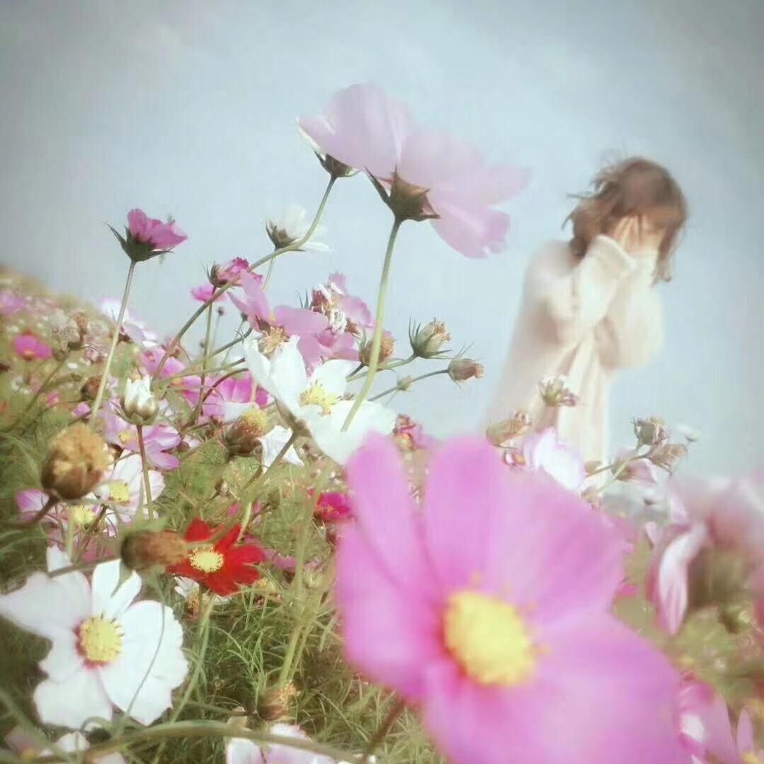 日暮