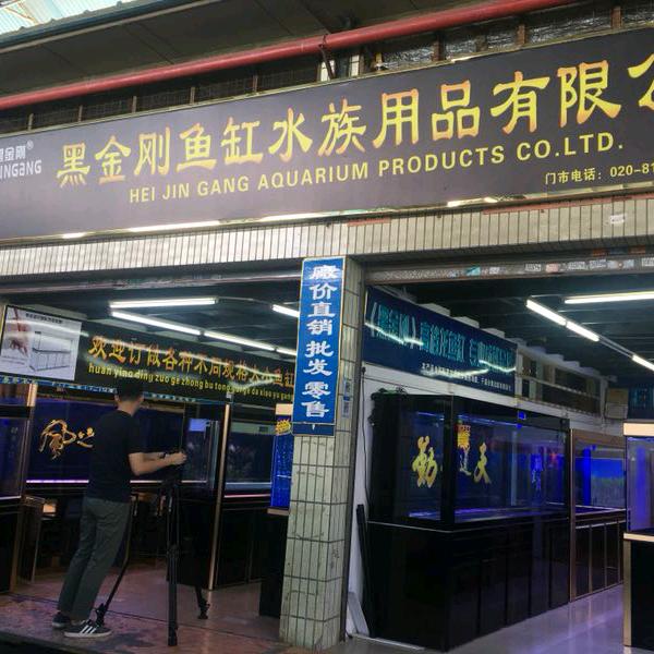 黑金刚水族【潘R】681