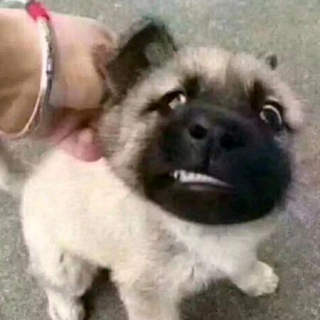 袁师不绣钢水箱