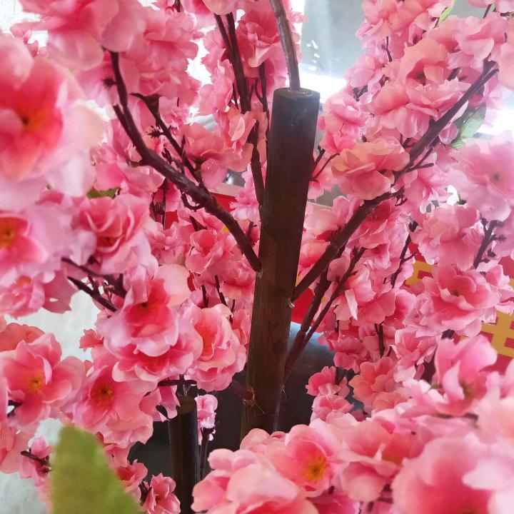 有你真好