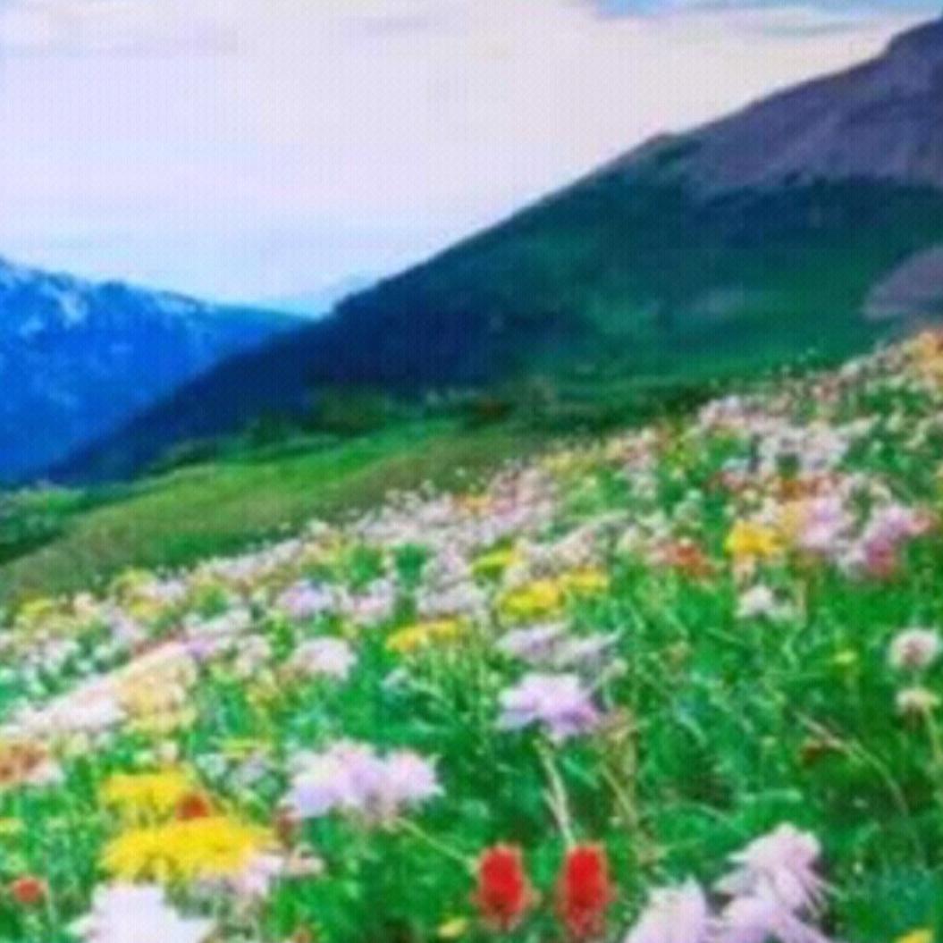 幽幽谷……拒绝连赞