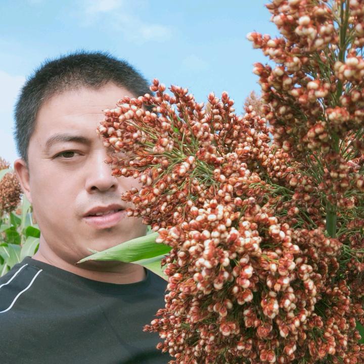 禾翁醉大曲白酒