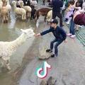 德正