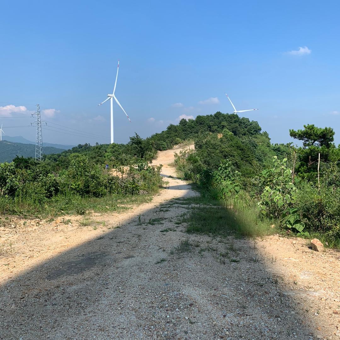 回家的路上