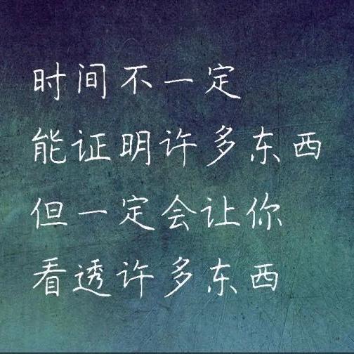 紫色蔷薇
