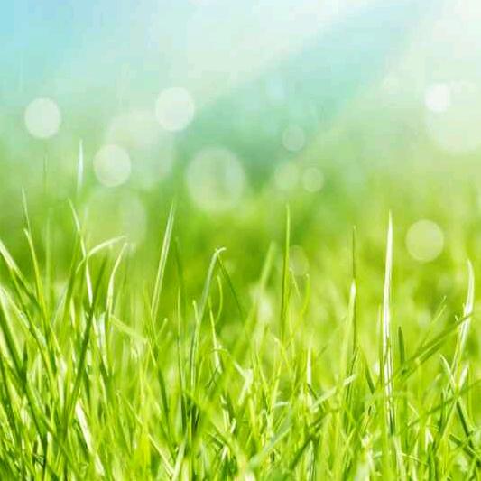 黄四渤八康佳电视袁娟娟