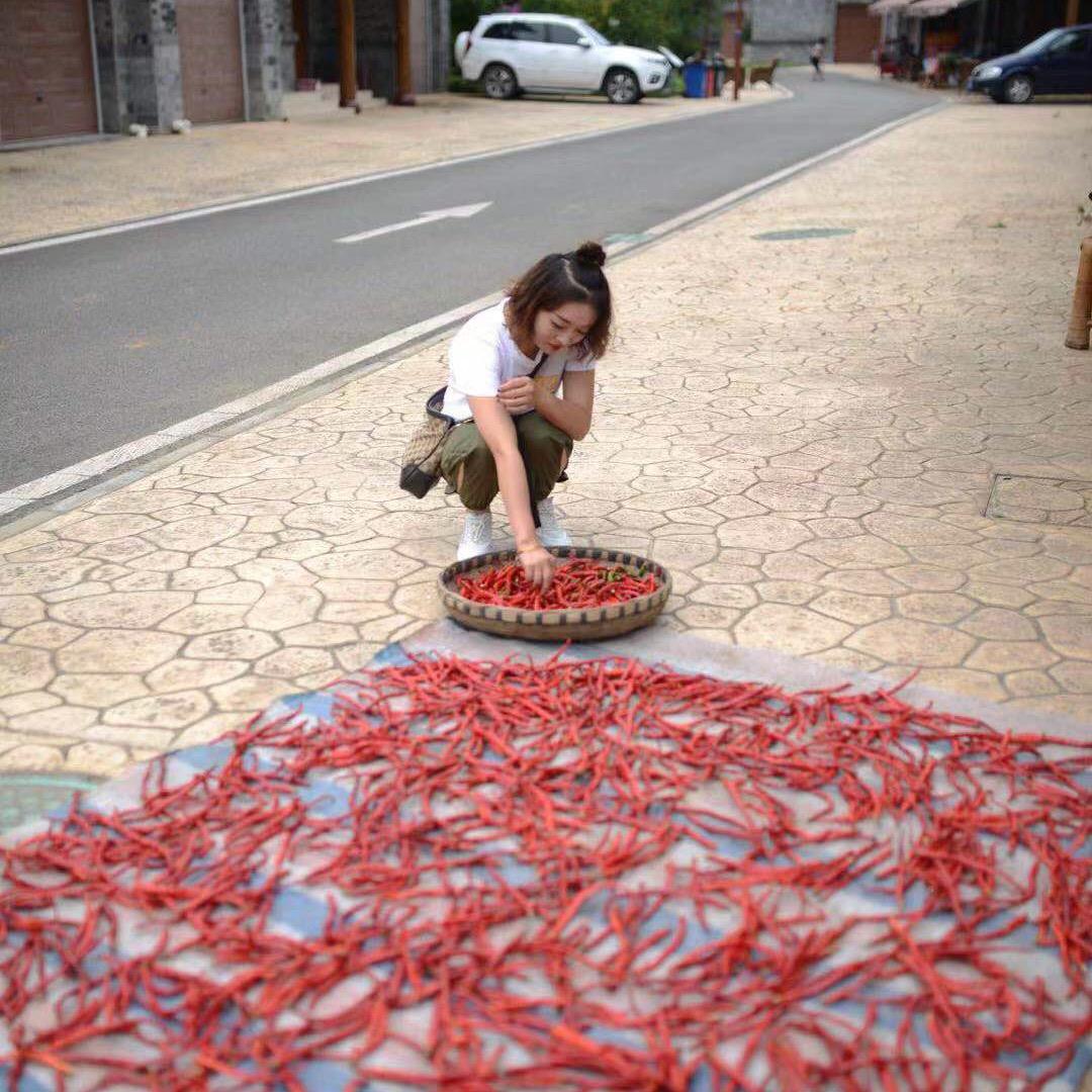 元气🍑（彬彬有氧）