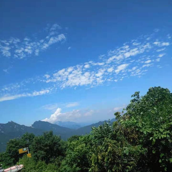 艺洋赢心开开心心