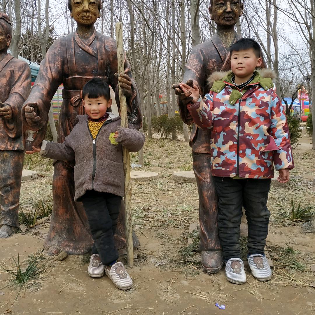 小白杨