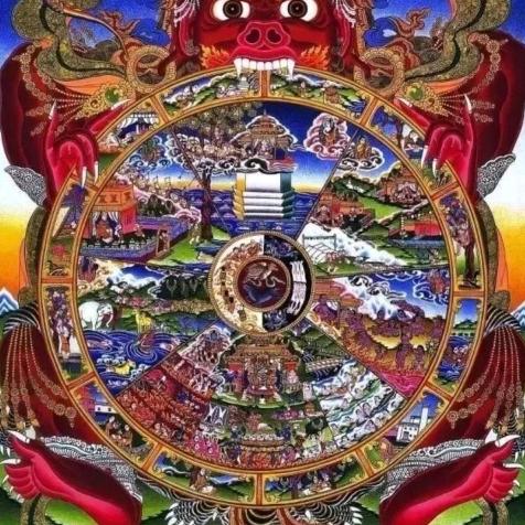 团结就是力量🇨🇳