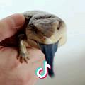 CJ生态吧