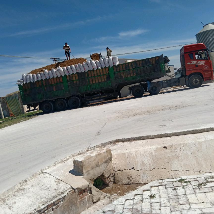 董昭一稻壳鸡粪