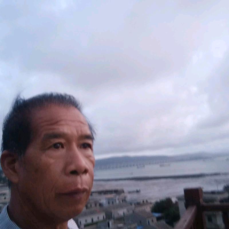春到燕归