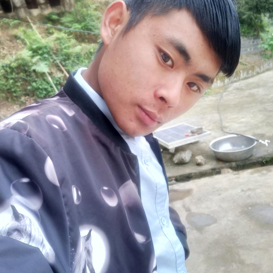 Y冷眼看世俗