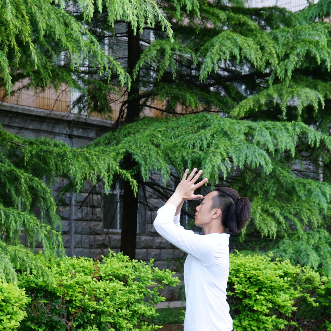 庸｜伽