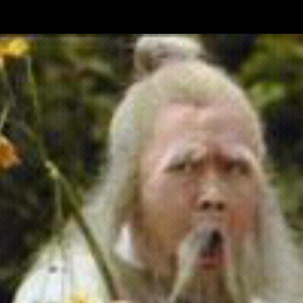 放荡不羁爱自由