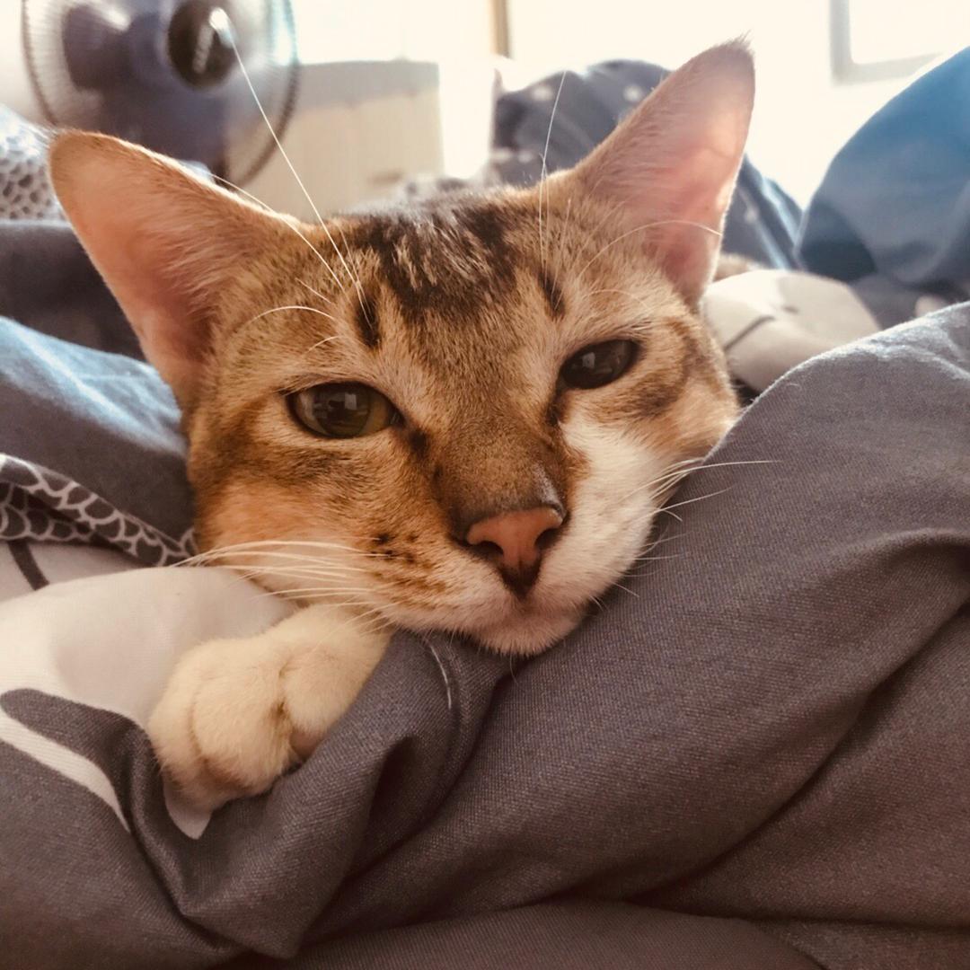 不到145斤不改名🤨