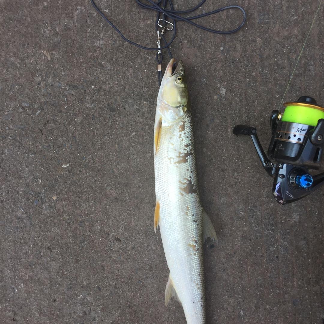 🌈改个很长很长很长很长很长的名字