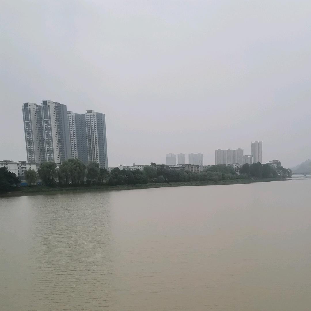 洪义