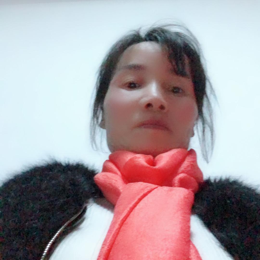 晨晨