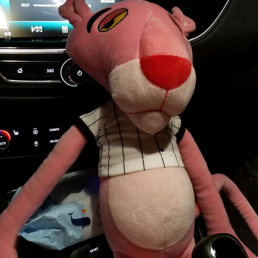 Pig