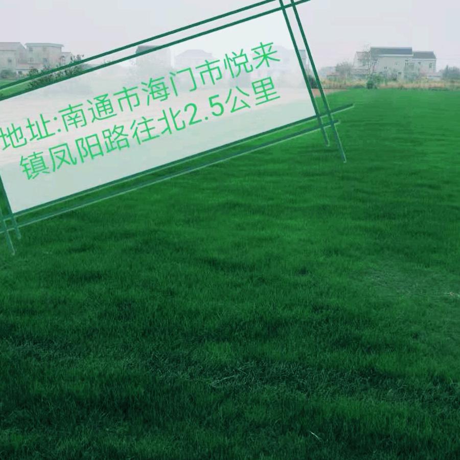 好人一生平安