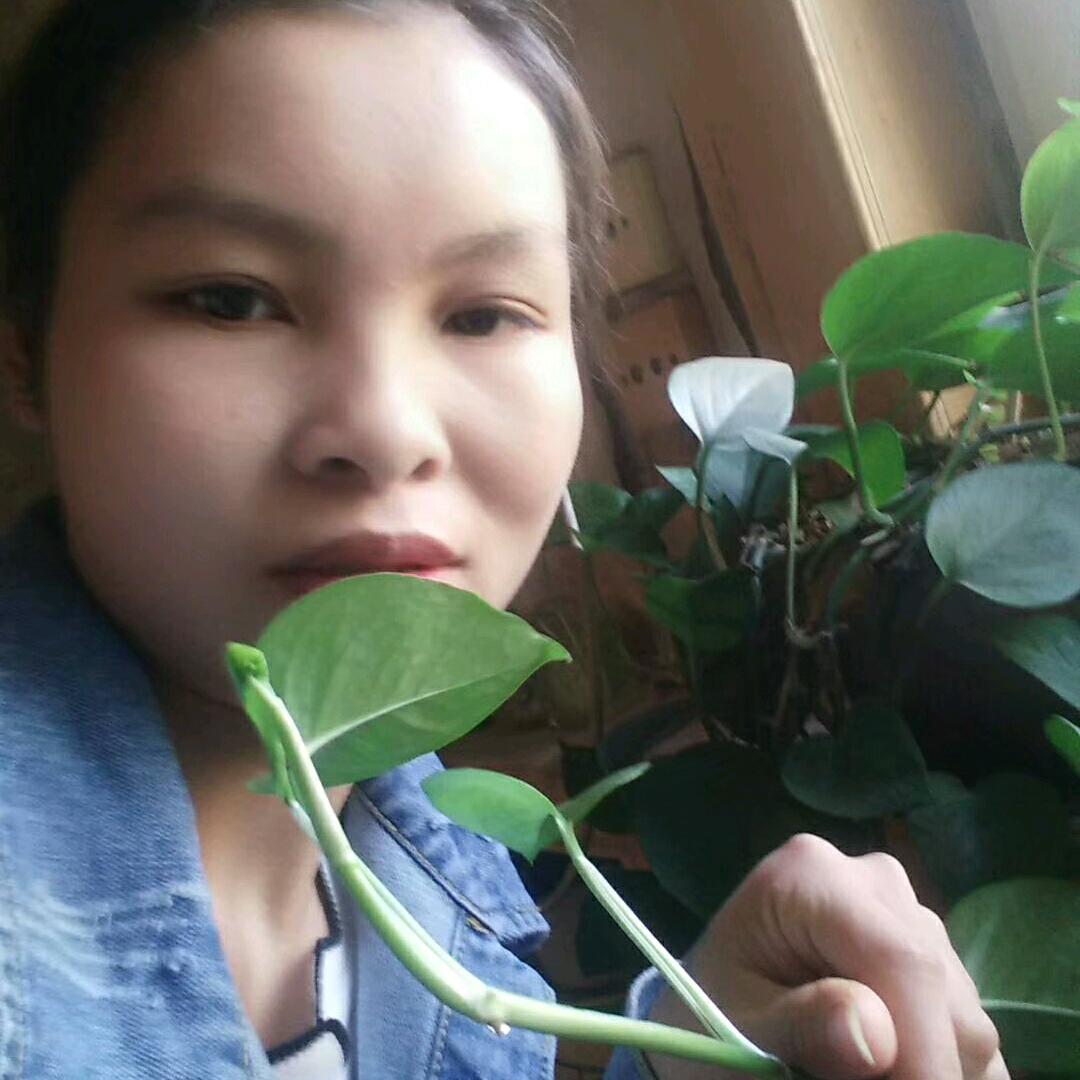 相思的雨_241895480