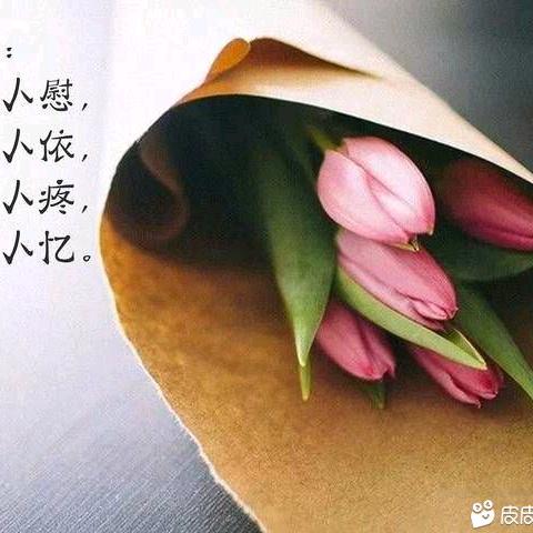 那些过往