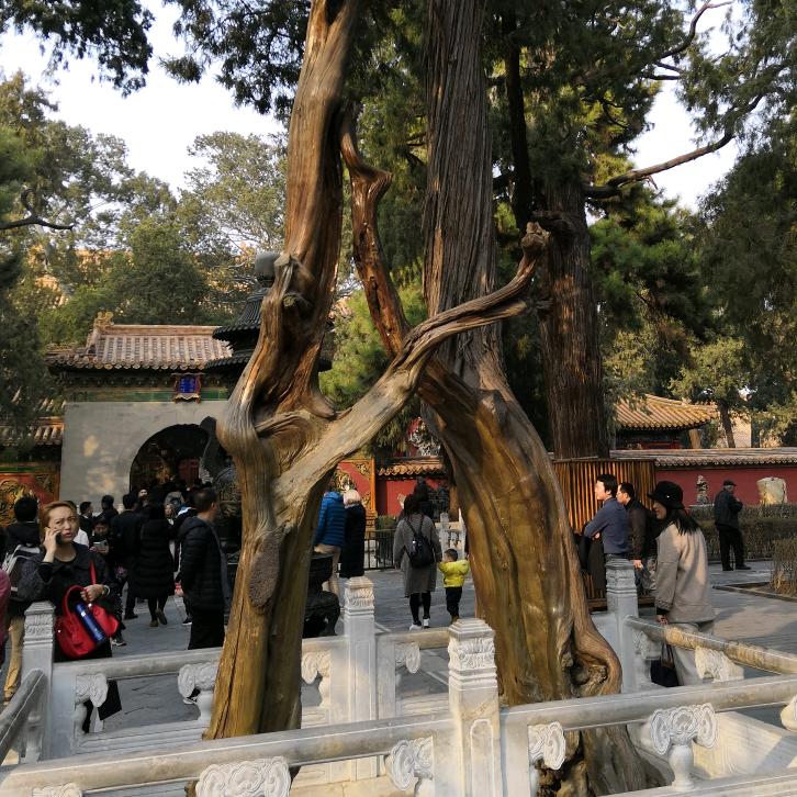 环球手机