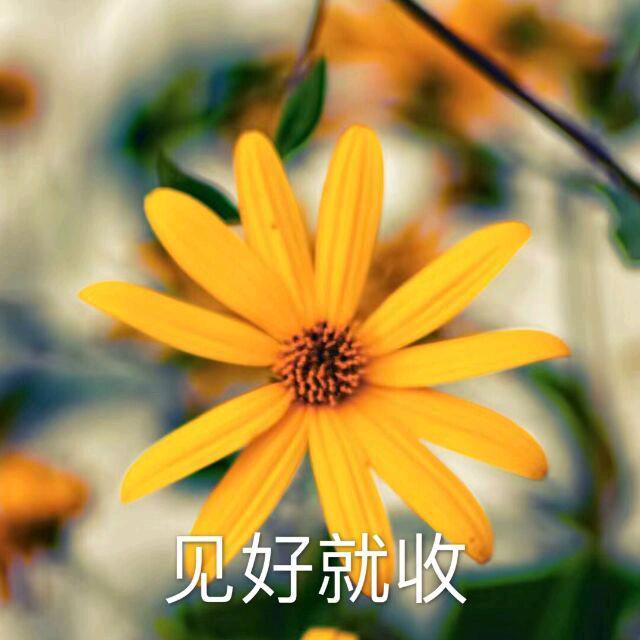 无所谓