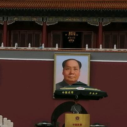 天天想您